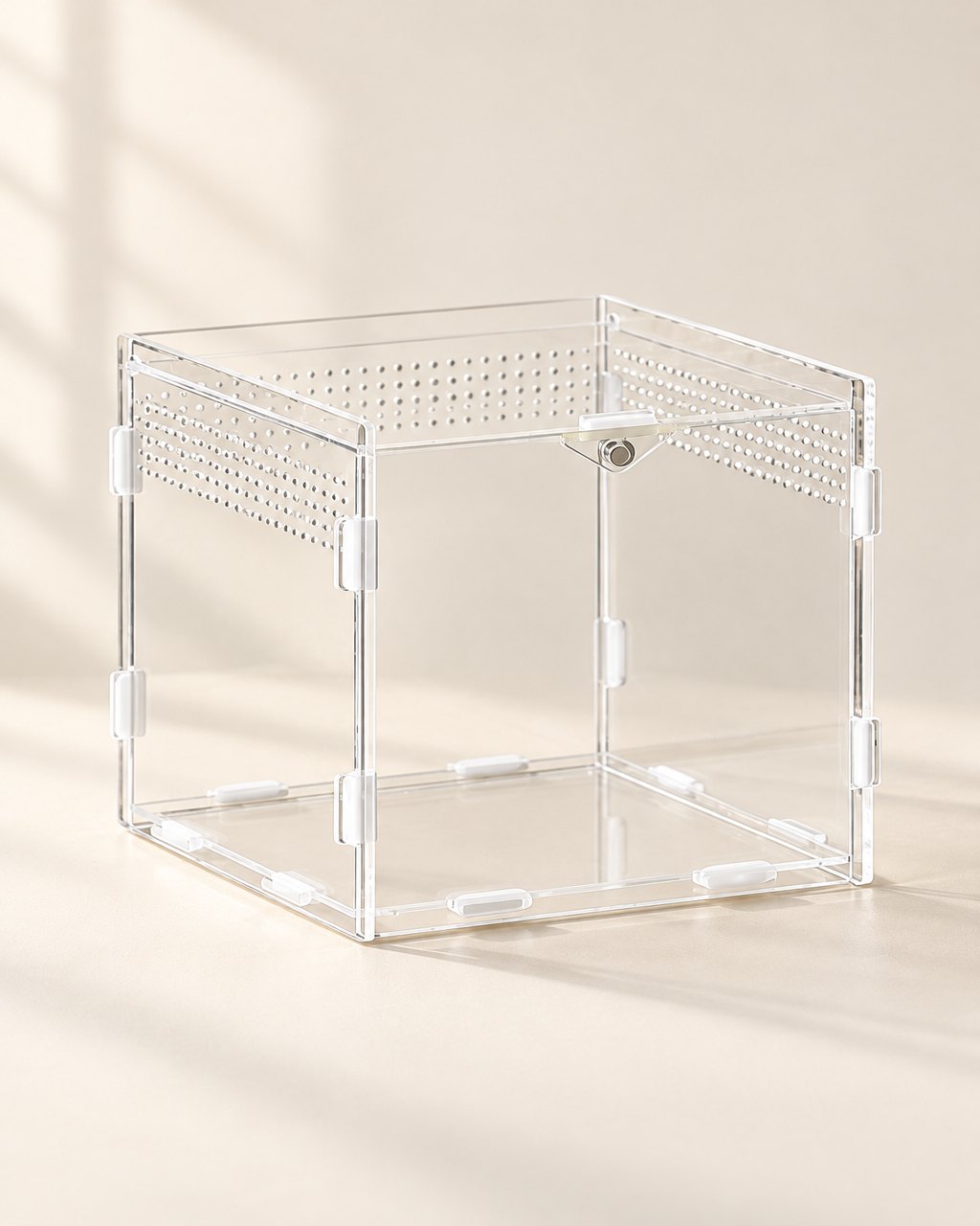 Terrarium transparent pour reptiles et insectes